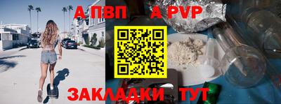 шишки Дубна