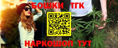 шишки Дубна