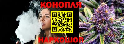 шишки Дубна