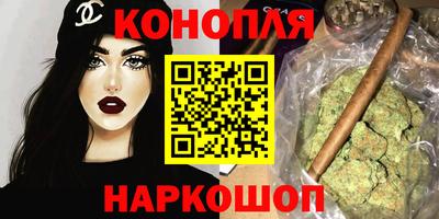 шишки Дубна