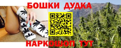 шишки Дубна