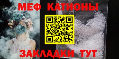 шишки Дубна