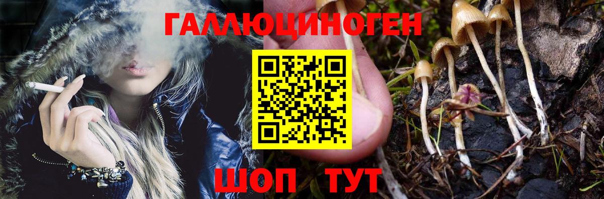 Псилоцибиновые грибы ЛСД  где продают   Куйбышев  Вход с VPN 